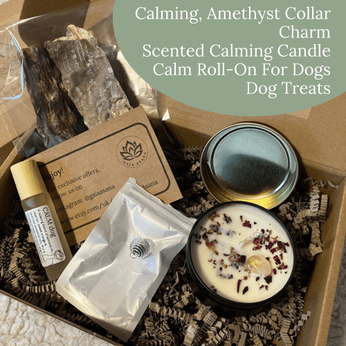 Dog calming kit - Image 5