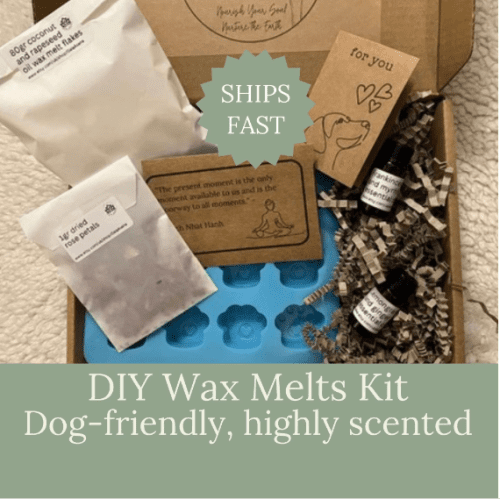 DIY wax melts kit