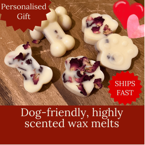 Pet friendly wax melts