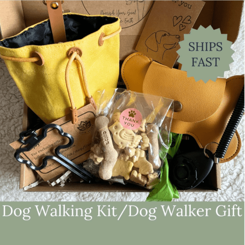 Dog walker kit