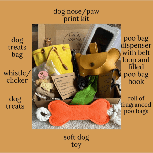 New dog kit - Image 2