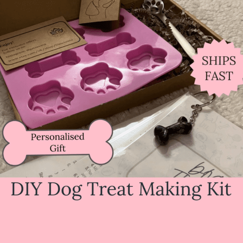 DIY Dog Treat Kit for Dog