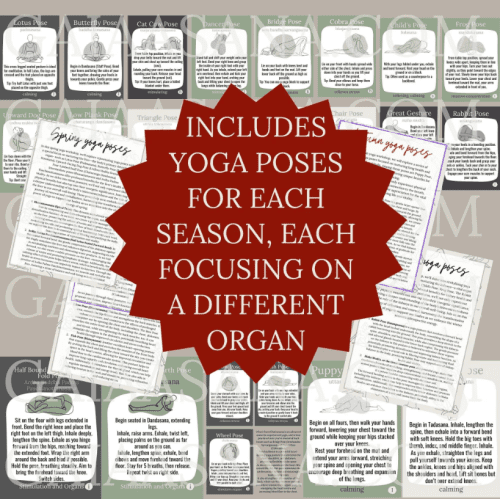 4 seasons yoga workshops digital download - Image 6