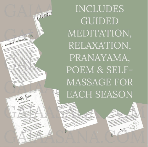 4 seasons yoga workshops digital download - Image 2