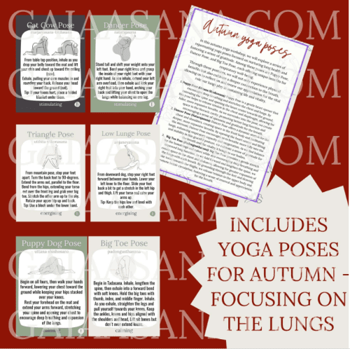 Autumn yoga workshop digital download - Image 5
