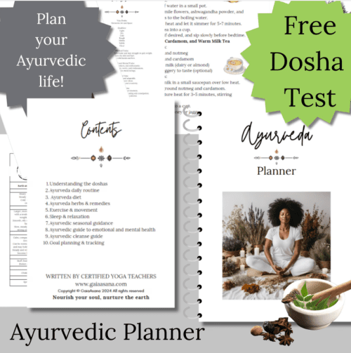 Ayurveda Planner natural medicine digital - Image 5